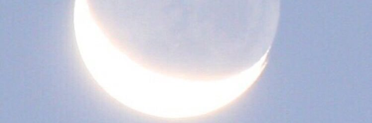 Shitaka_'s profile banner image