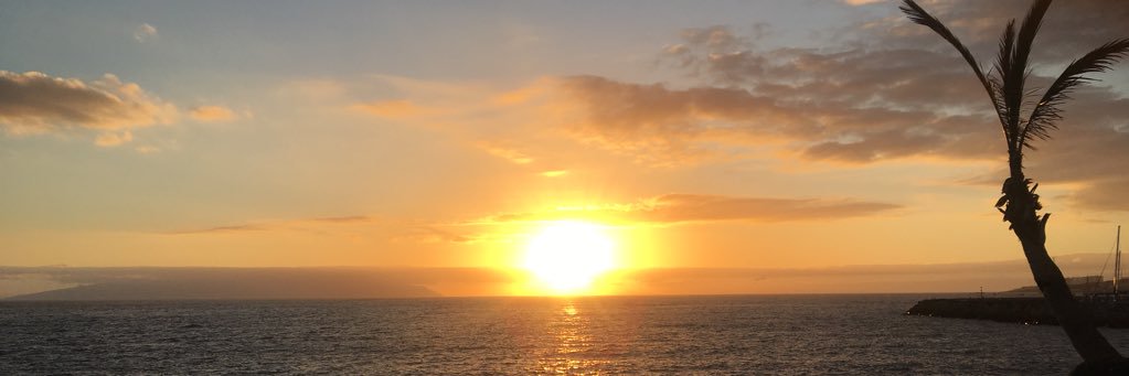Dom C banner