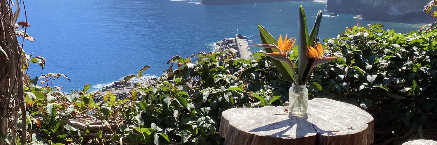 giselasilvaa's profile banner image