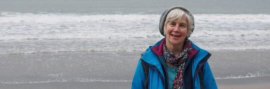 Fiona Ellis banner