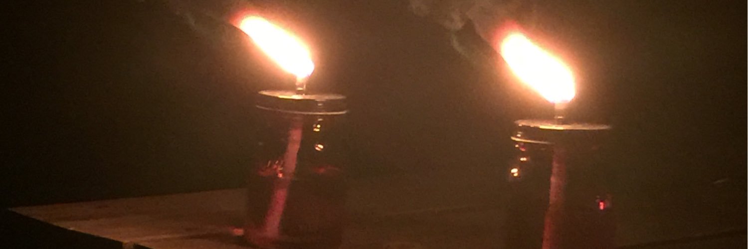 Erika Stevens banner