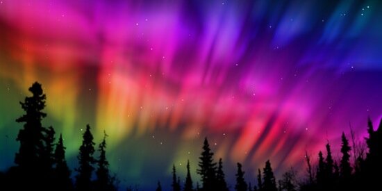 MNlesbian's profile banner image