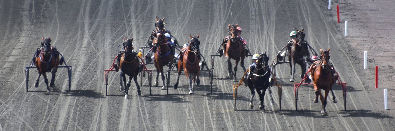 Mikael Kudrén banner