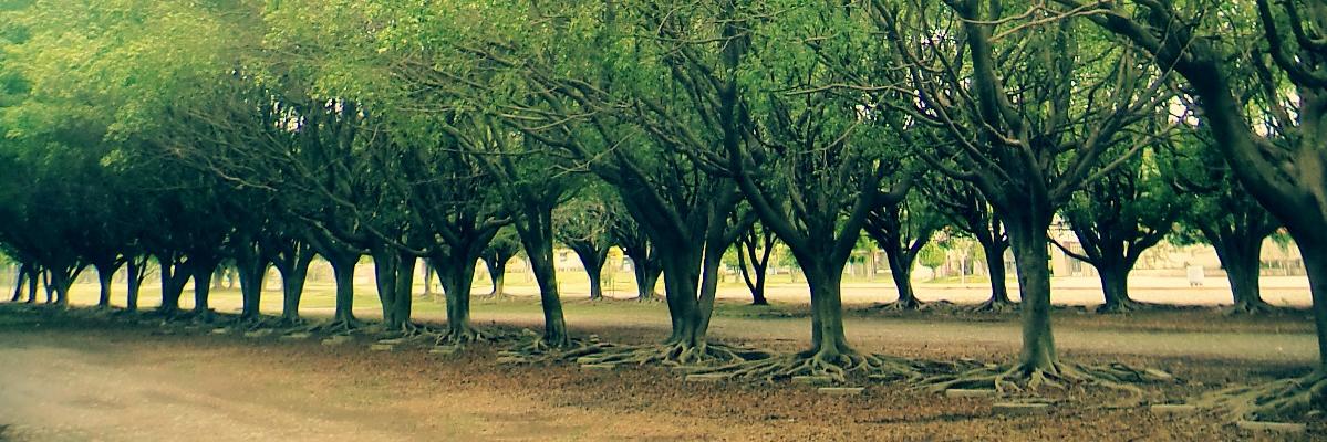 JoJeAlvarez's profile banner image