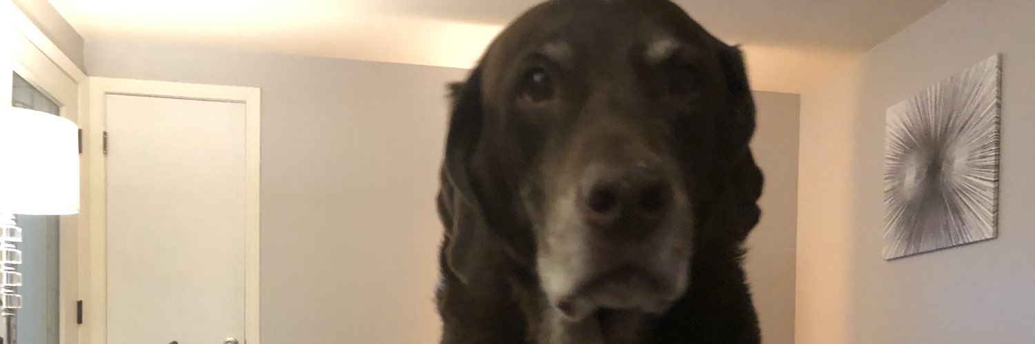 support_todd's profile banner image