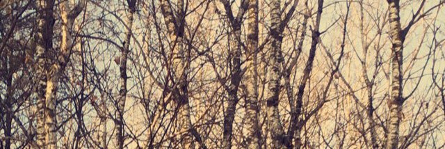 18imantheiIsaac's profile banner image