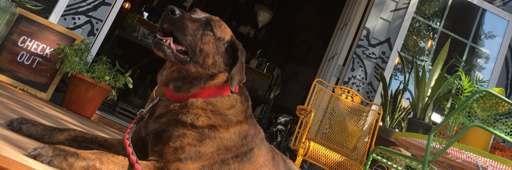 KasandraBay's profile banner image