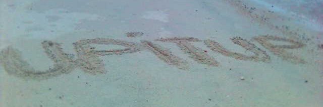 Up It Up Records banner