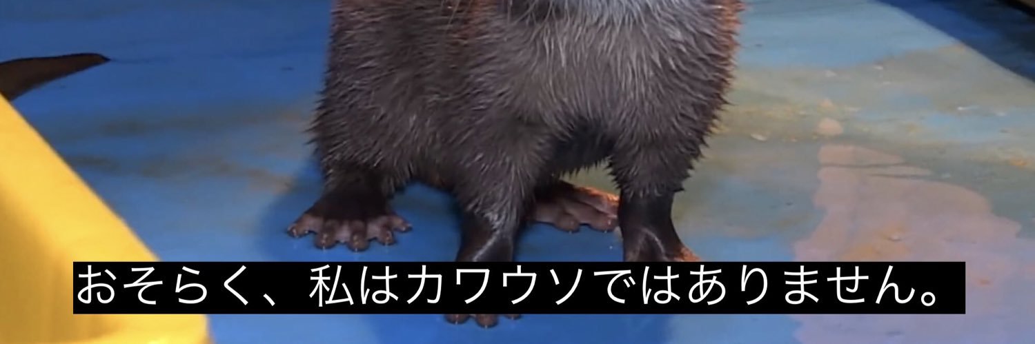 oshakauso's profile banner image