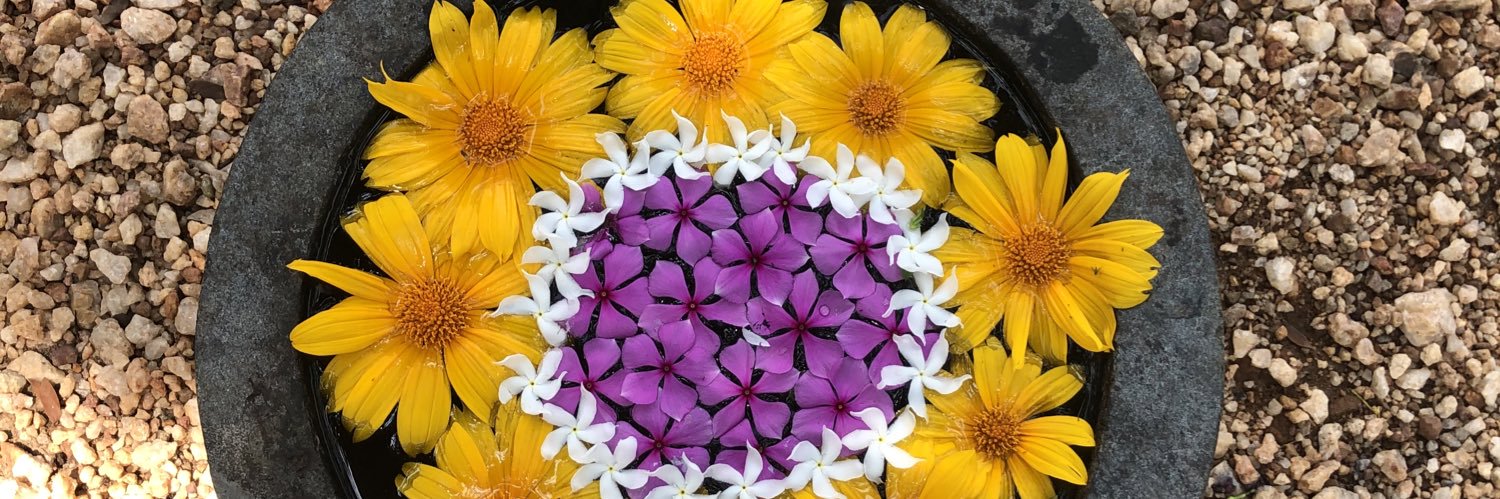 Colibriazul77's profile banner image
