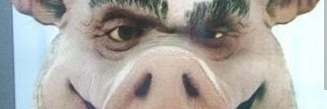 matiuc22's profile banner image