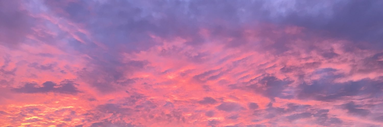 MKenzie_Cardilo's profile banner image