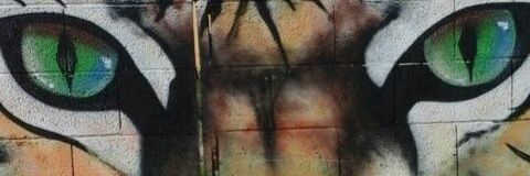 vanesssalelu's profile banner image