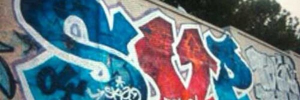 svanpetten Profile Banner