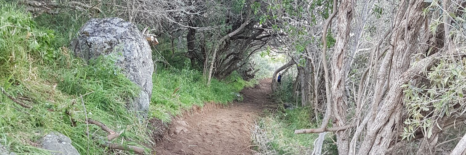 Hero Adventure Trails banner