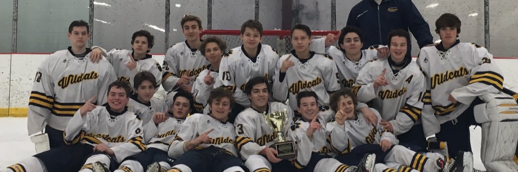 Cleveland Wildcats U15AAA banner