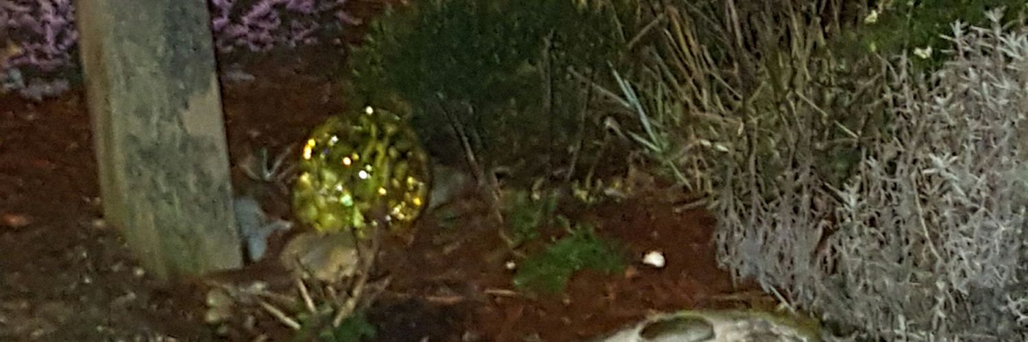 MegaMonkey253's profile banner image