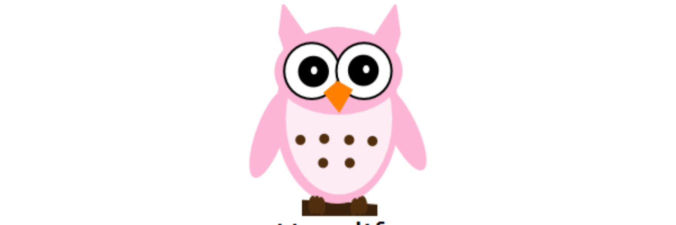 HootLife's profile banner image