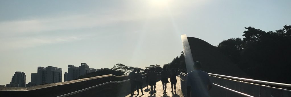 cvwonder's profile banner image