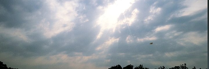 MokhammadGilang's profile banner image