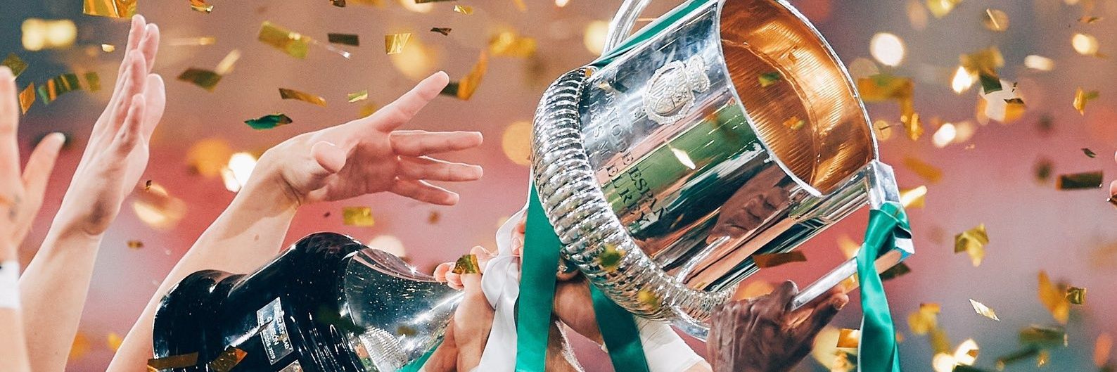 peperojoRBB's profile banner image