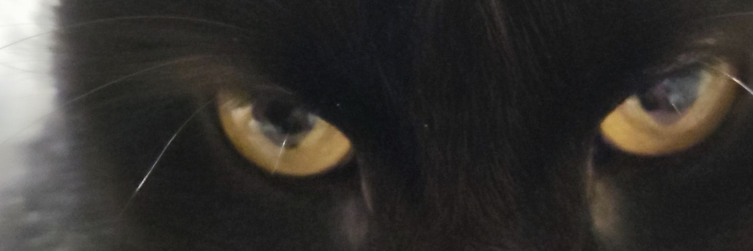 mrbasstian's profile banner image