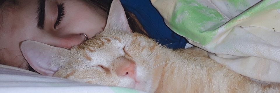 Yaneee123's profile banner image