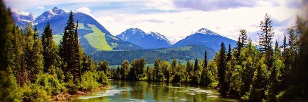 jacquieclancy's profile banner image