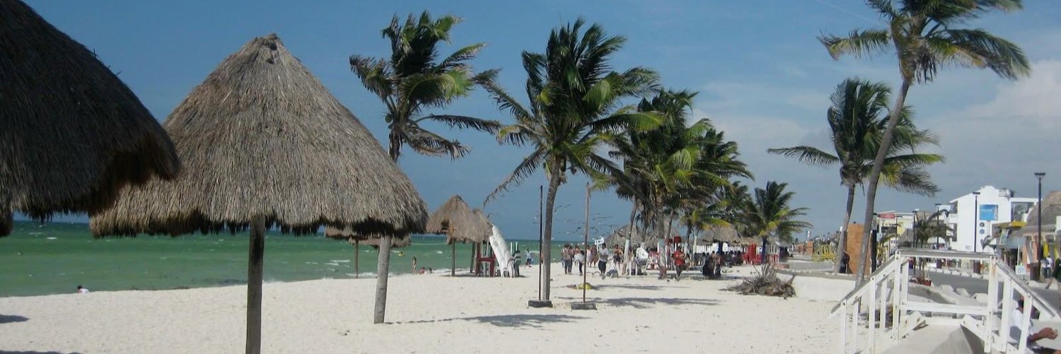 Yuc_Real_Estate's profile banner image