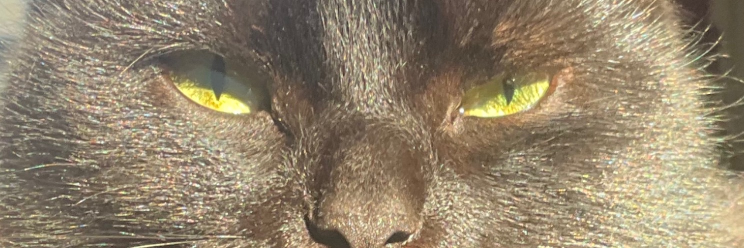 vrogum's profile banner image