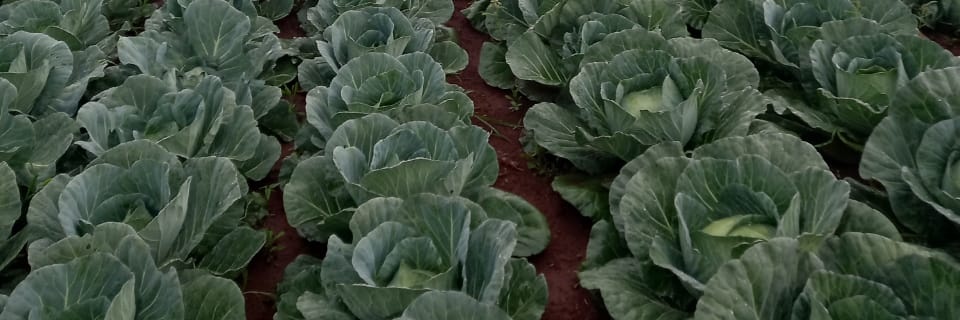 carlsatxa's profile banner image