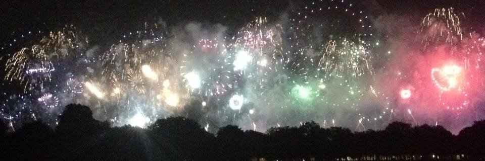 Joanna Bracey banner