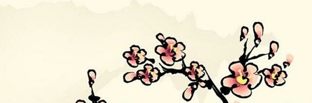 NDee919's profile banner image