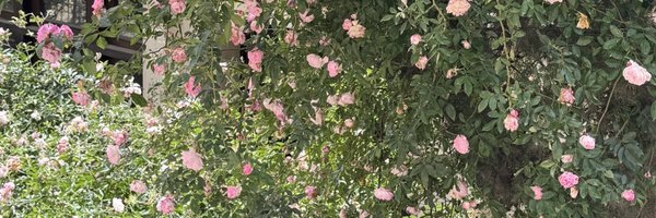 journoarunima Profile Banner
