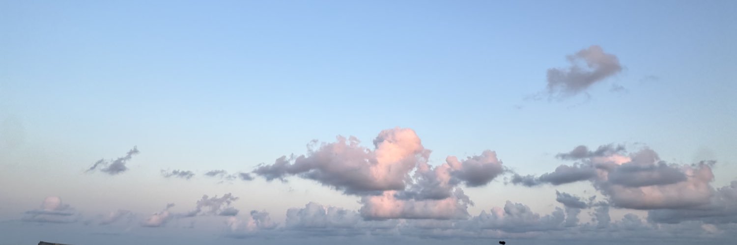 Poppie turner banner