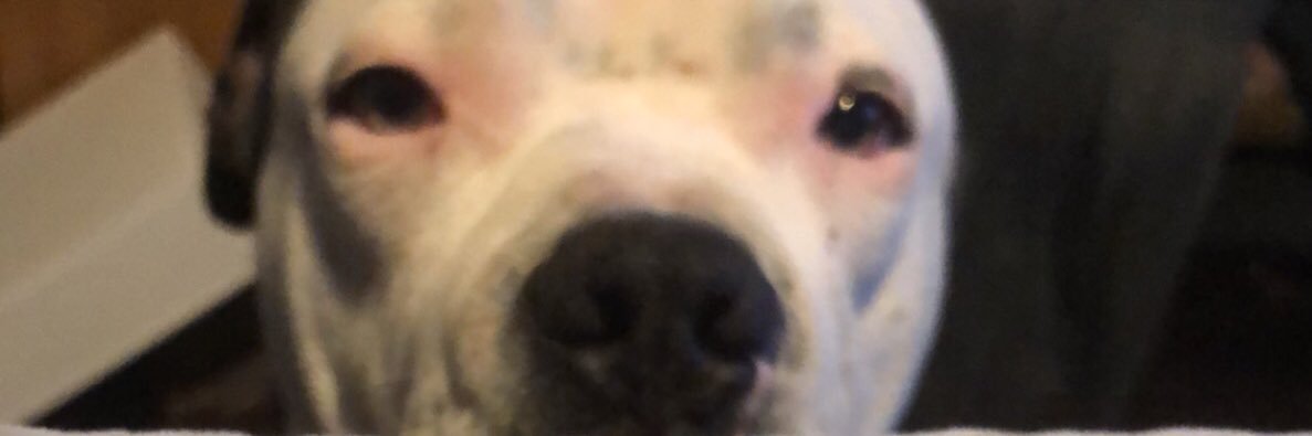 AdeAlarape's profile banner image