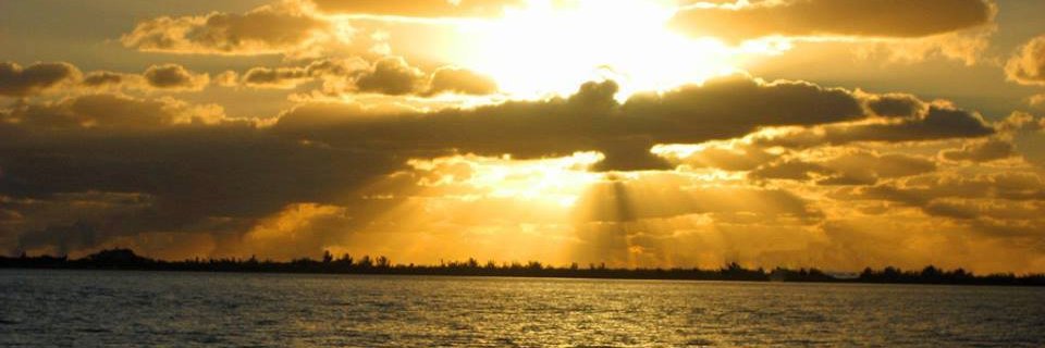 Gregory C. Scott banner