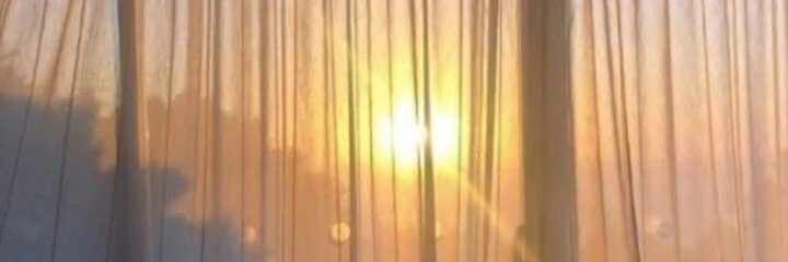 ademarnii's profile banner image