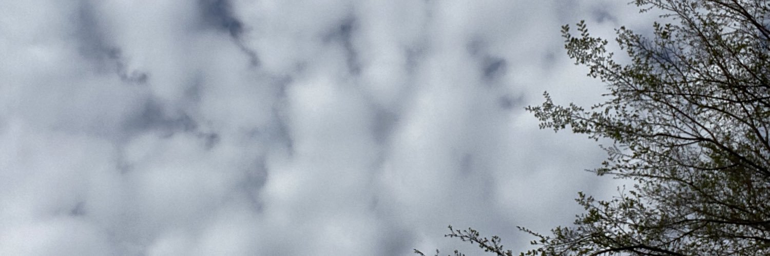 UpsidedownMoon's profile banner image