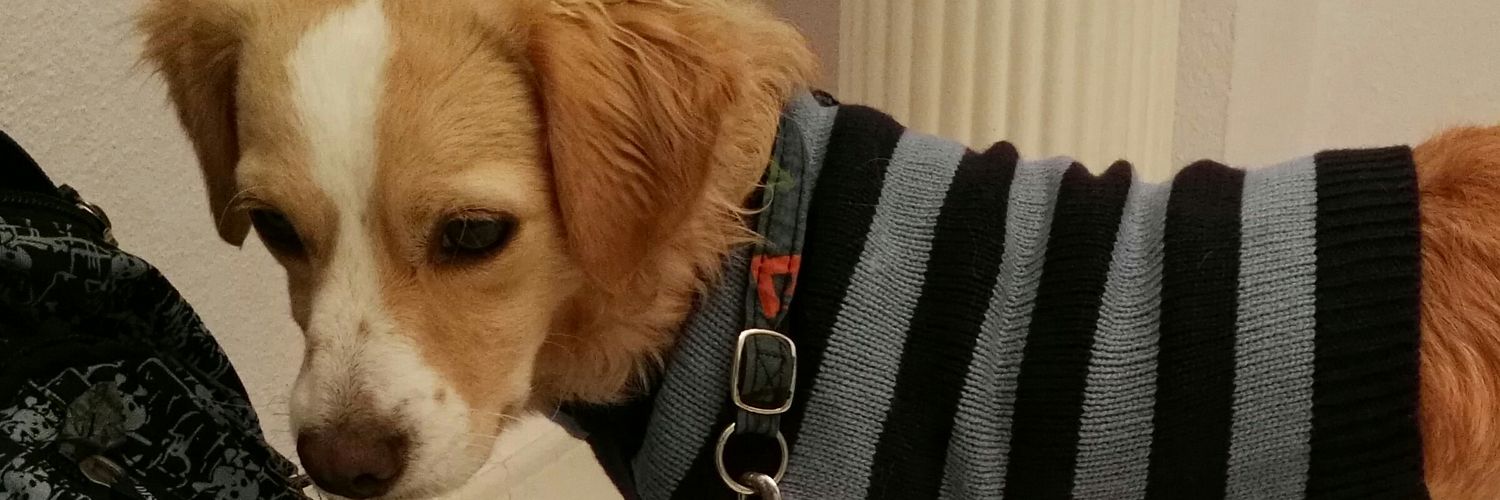dumbopavarotti's profile banner image
