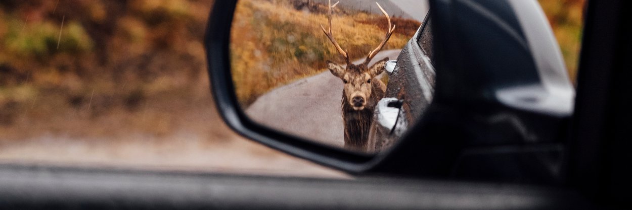 Experience Scotland banner