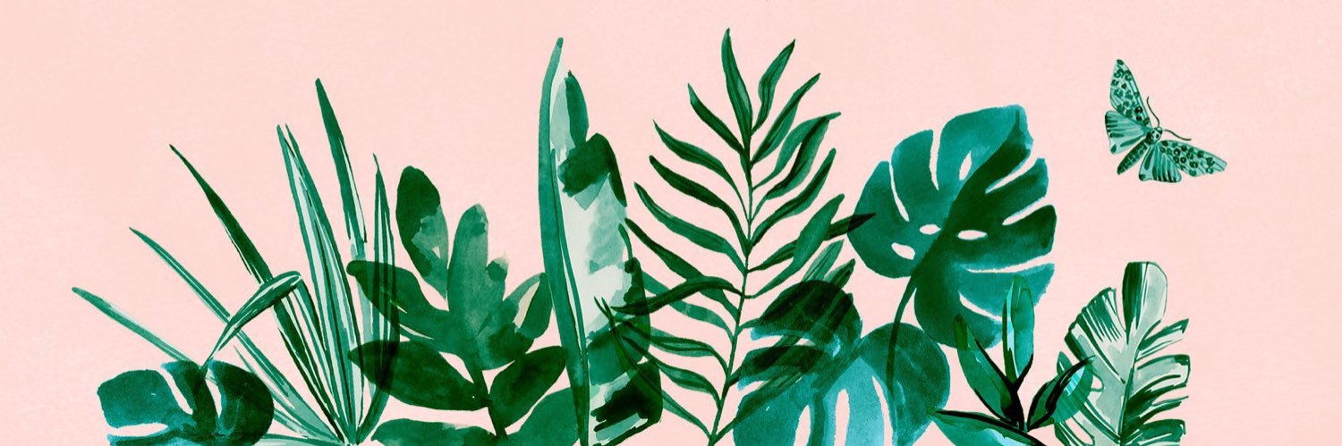 mak_kyte's profile banner image