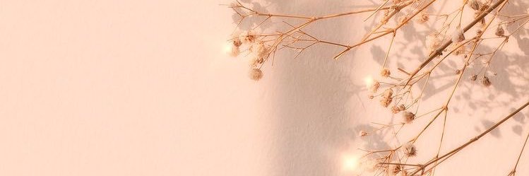 rach🦋 banner
