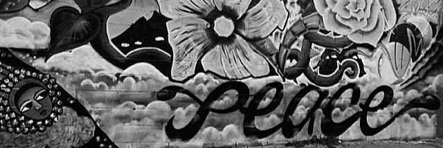 edidemc banner
