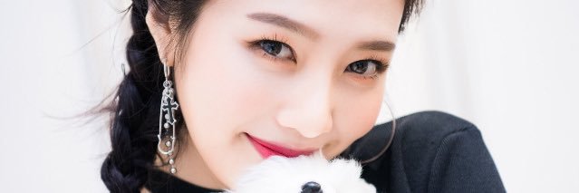 pinkleopord's profile banner image
