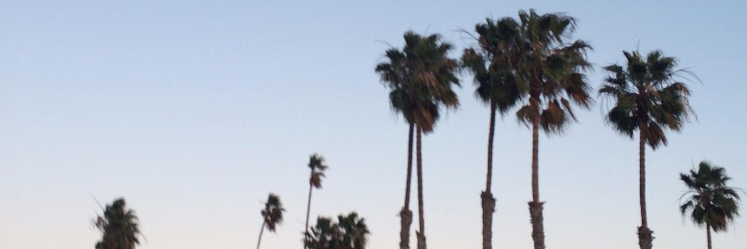 DianaIssy's profile banner image