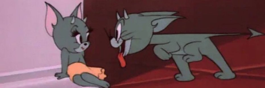 SapirTabibi's profile banner image