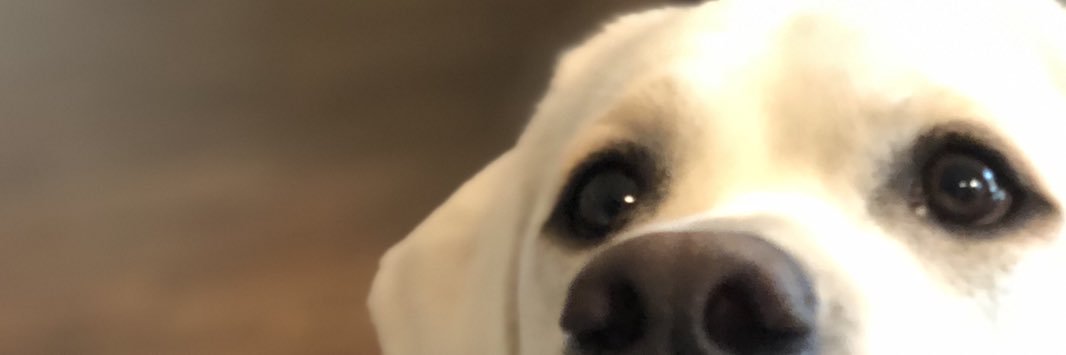 AAyy_Almanza's profile banner image