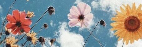 araalbarenque's profile banner image
