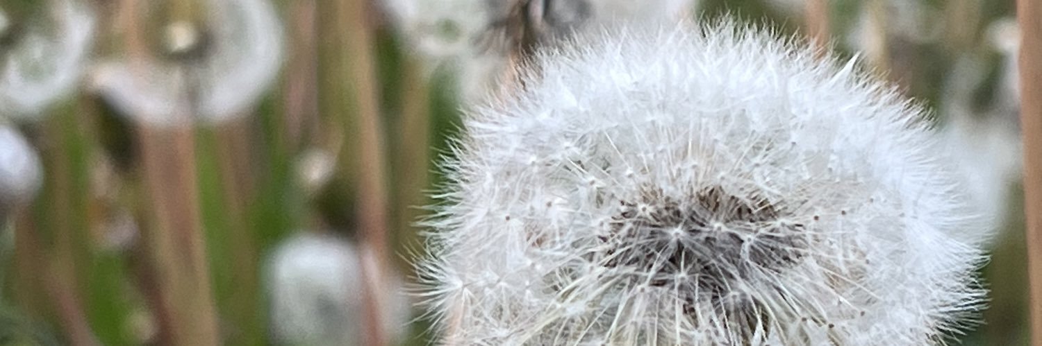 AnrolHere's profile banner image